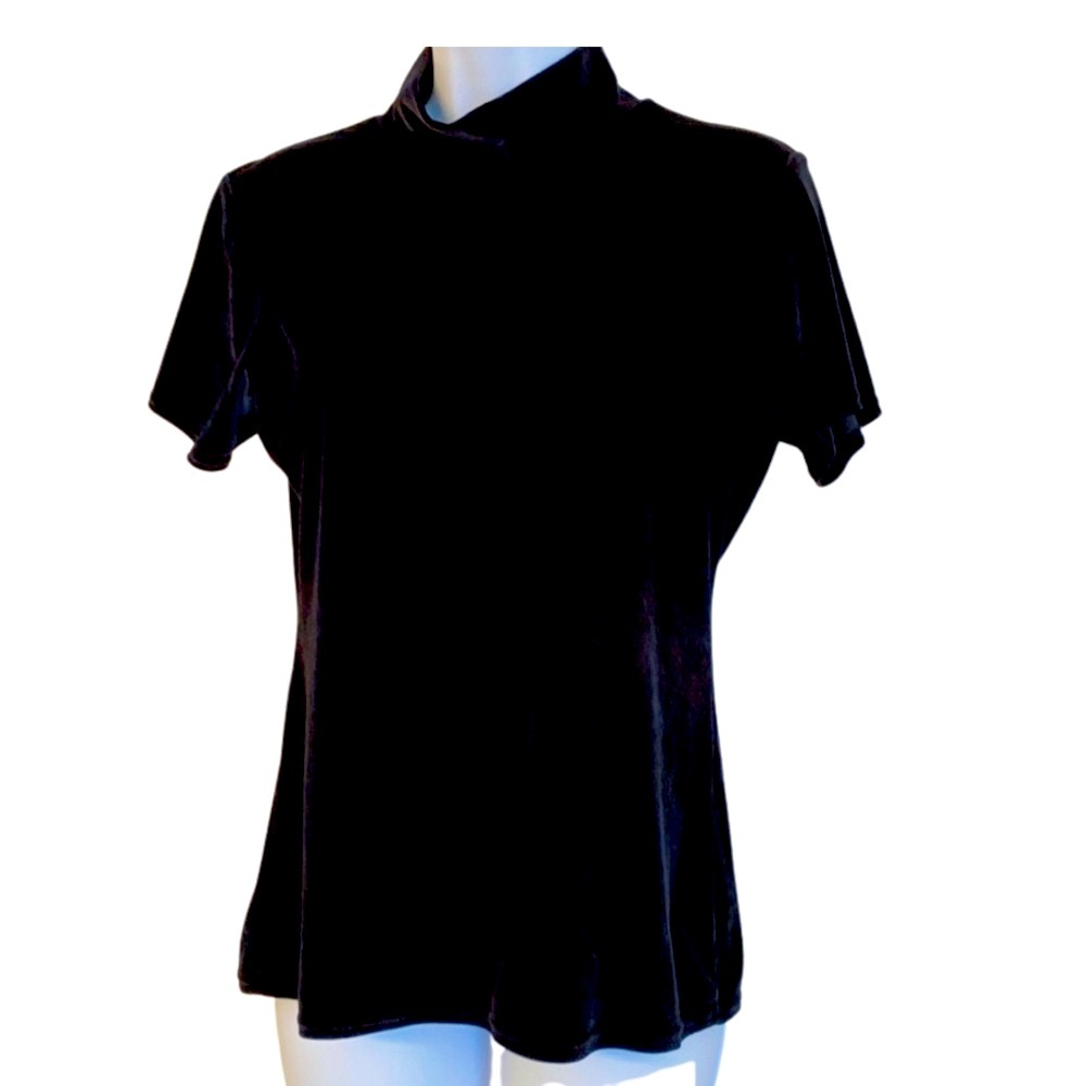 Velvet mock neck short sleeved top
